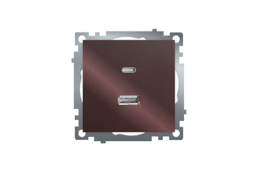 Розетка 2-местная USB + type C Stekker Катрин GLS10-7116-04 50057