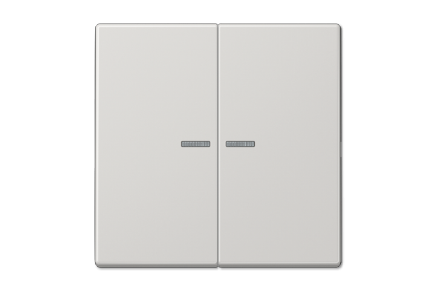 Клавиша 2-ная с 2-мя линзами Jung LS990 LS995KO5LG