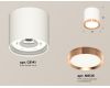 Потолочный светильник Ambrella Light Techno Spot XS8141005 (C8141, N8126)