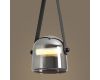 Подвесной светильник Freya Aurum FR5471PL-L12B