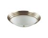 Настенно-потолочный светильник Lumion Vintage 5262/3C