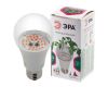 Фитолампа для растений светодиодная ЭРА E27 14W 1310K FITO-14W-RB-E27-K Б0039071