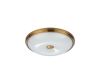 Настенно-потолочный светильник Odeon Light Pelow 4956/4