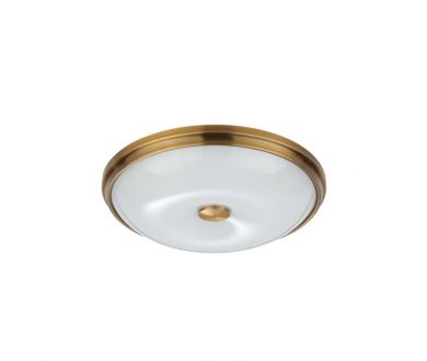 Настенно-потолочный светильник Odeon Light Pelow 4956/4