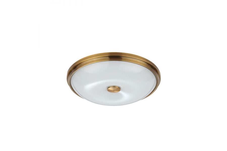 Настенно-потолочный светильник Odeon Light Pelow 4956/4
