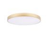 Потолочный светильник Loft IT Flims 10228/B