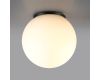 Уличный потолочный светильник Odeon Light Nature Viva 7124/1C