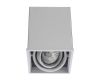 Потолочный светильник Arte Lamp Cardani A5942PL-1WH