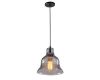 Подвесной светильник Arte Lamp Amiata A4255SP-1SM