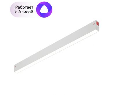 Трековый светильник Denkirs Smart DK8005-WH