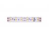 Светодиодная лента DesignLed DSG5120-24-WW-33 000523