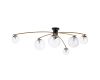 Люстра на штанге Citilux Fisher CL218163