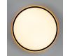 Потолочный светильник Citilux Norma LED RGB CL749501