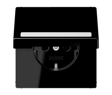 Розетка Schuko с крышкой Jung LS1520BFNAKLSW