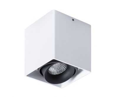 Потолочный светильник Arte Lamp Pictor A5654PL-1WH
