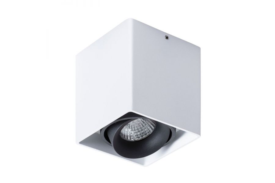 Потолочный светильник Arte Lamp Pictor A5654PL-1WH