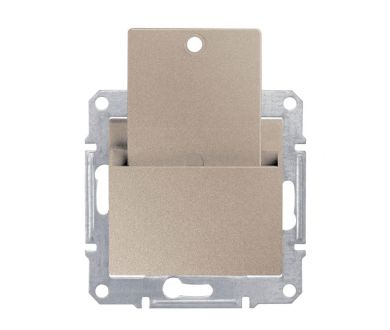 Выключатель карточный Schneider Electric Sedna 10A 250V SDN1900168