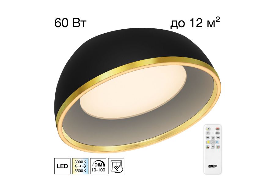 Потолочный светильник Citilux Floom CL736151