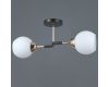 Потолочный светильник Illumico IL0689-2CSQ-24 BK FGD LIBRA