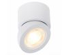 Светодиодный спот ST Luce ST654.542.10