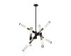 Люстра на штанге Freya Radiant FR5642PL-08B