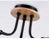 Потолочная люстра Ambrella Light Modern TR4731