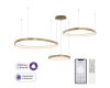 Подвесная люстра Citilux Genka Smart CL756A092