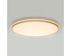 Потолочный светильник Citilux Norma LED RGB CL749600