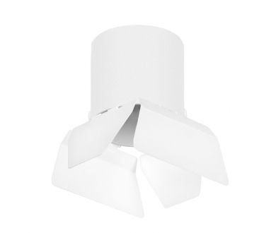 Накладной светильник Lightstar Rullo (213486+202486) R3486486