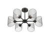 Люстра на штанге Lumion Tidina 8238/6C