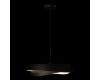 Подвесной светильник Loft IT Petale 10256P Black