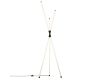 Торшер Citilux Lucia CL217961