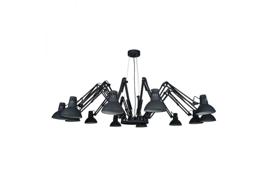 Подвесная люстра Arte Lamp Ragno A2043SP-12BK