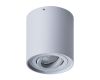 Потолочный светильник Arte Lamp Falcon A5645PL-1GY