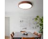 Потолочный светильник ImperiumLoft Range 101959-26