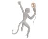 Настенный светильник Loft IT Monkey 10314W/A