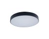 Потолочный светодиодный светильник Loft IT Axel 10002/24 black