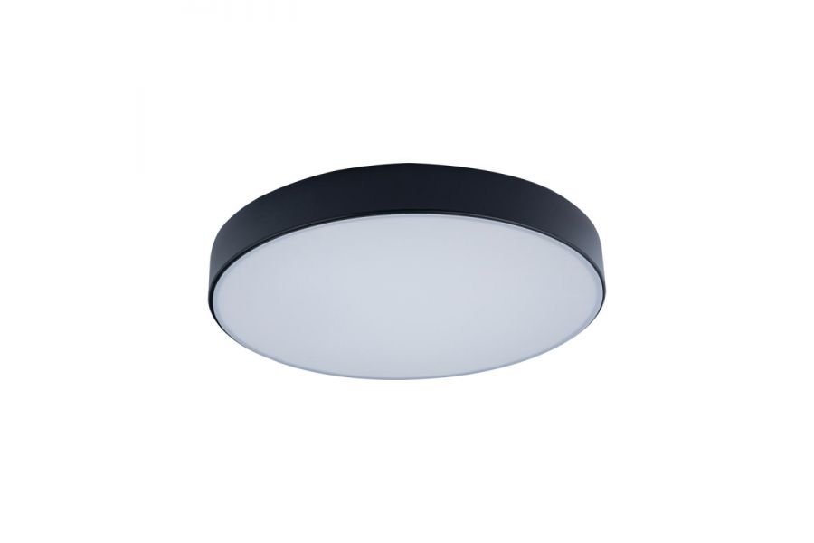 Потолочный светодиодный светильник Loft IT Axel 10002/24 black