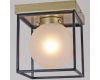 Потолочный светильник Illumico IL0050-1C-79