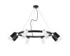 Подвесная люстра Lightstar Rullo (571018+214436-4+214437-4+202431-8) LR0183643741