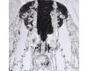 Подвесная люстра Bohemia Ivele Crystal AL16303/8/240 BM