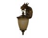 Уличный настенный светильник Favourite Dragon 1716-1W