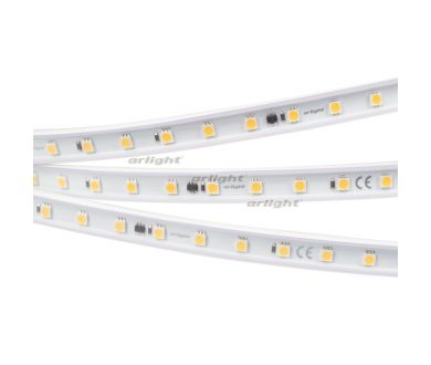 Светодиодная лента Arlight ARL-PV-B54-15.5mm 5060 029400(2)