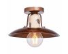 Потолочный светильник Lussole Loft Vermilion LSP-8161