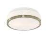 Потолочный светильник Arte Lamp Aqua A4440PL-2AB