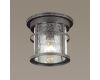 Уличный светильник Odeon Light Virta 4044/1C