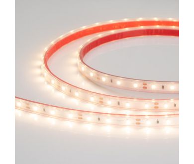 Светодиодная лента герметичная Arlight RTW-PS-A60-10mm 12V Warm2700 (4.8 W/m, IP67, 2835, 5m) 028506(2)