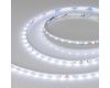 Светодиодная лента Arlight RT-A80-5mm 24V Cool 8K (5 W/m, IP20, 2835, 5m) 037799