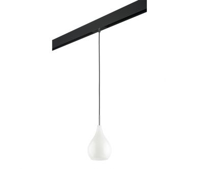Трековый светильник Lightstar Pentola PRO803030 (803030+595007)