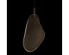 Подвесной светильник Loft IT Leaf 10349/M